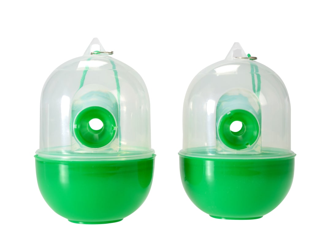 Rentokil Wasp Trap Twin Pack FW32 FW32