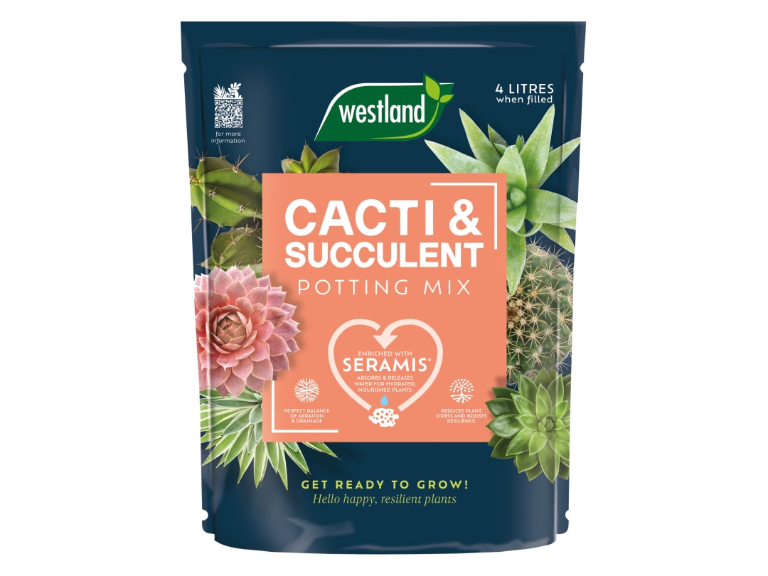 Westland Cacti & Succulent Potting Mix Peat Free 4L 10200094