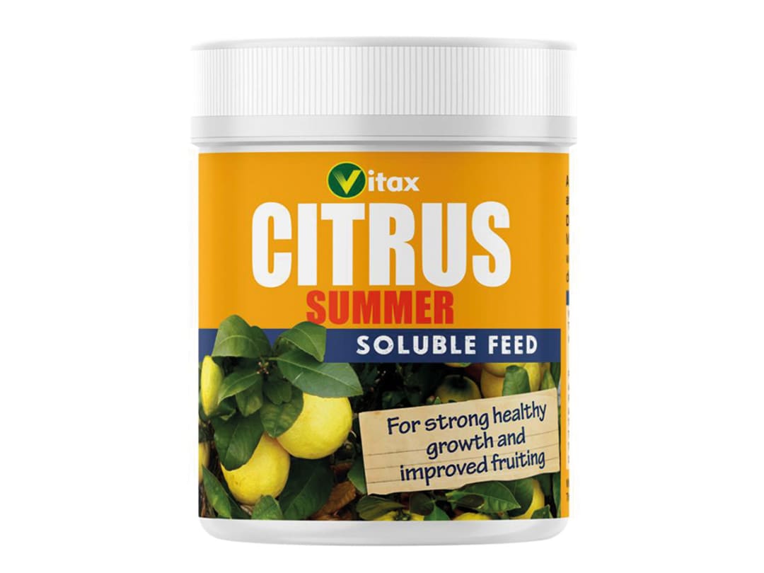 Vitax Citrus Summer Feed 200g 6CFS200