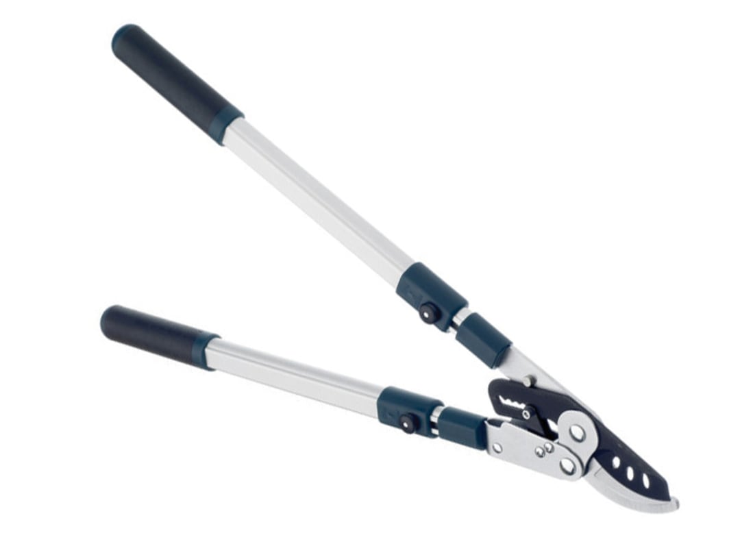 Bulldog BD3113TW Evergreen Extending Bypass Loppers BD3113TW