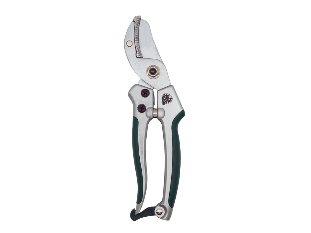 Bulldog Premier Anvil Pruning Shear BD3152C